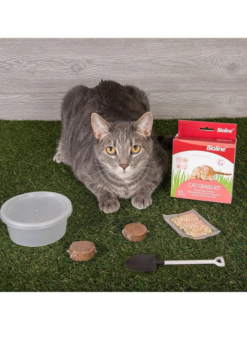 Bioline Catgrass Kit 12g , Dimension - (5.4 x 13.4 x 12.2cm) - Image 2