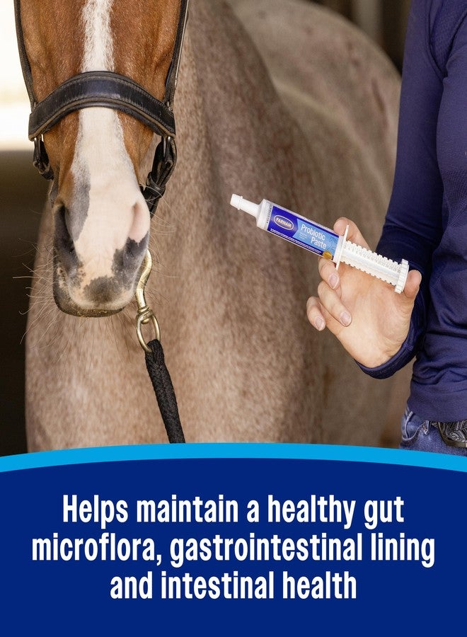 Farnam Probiotic Paste for Horses, Rapid Delivery Digestive and Immune Health Supplement Supports a Healthy Microbial Balance in Times of Stress - Image 5