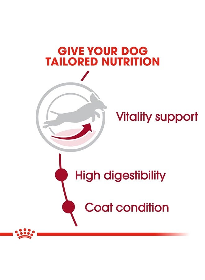 رويال كانين طعام للكلاب البالغة المتوسطة بعمر 7 سنوات فما فوق - 10 كجم - Image 3