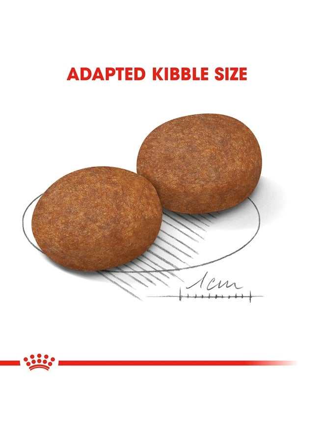 رويال كانين طعام للكلاب البالغة المتوسطة بعمر 7 سنوات فما فوق - 10 كجم - Image 4
