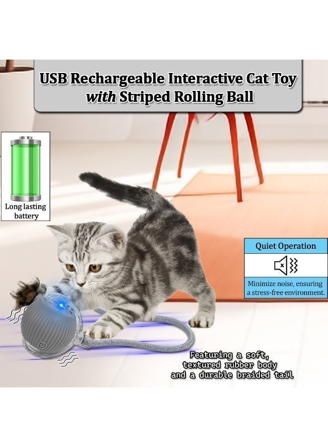 NNC PETS Cat toy with USB rechargeable, Durable Plastic, Long tail, & 3 modes, 37cm Interactive toy ball with LED light, Indoor cat entertainment, Safe cat material with Scratch & Fall resistant, (Grey) - Image 5