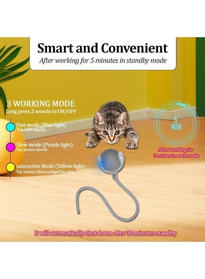NNC PETS Cat toy with USB rechargeable, Durable Plastic, Long tail, & 3 modes, 37cm Interactive toy ball with LED light, Indoor cat entertainment, Safe cat material with Scratch & Fall resistant, (Grey) - Image 2