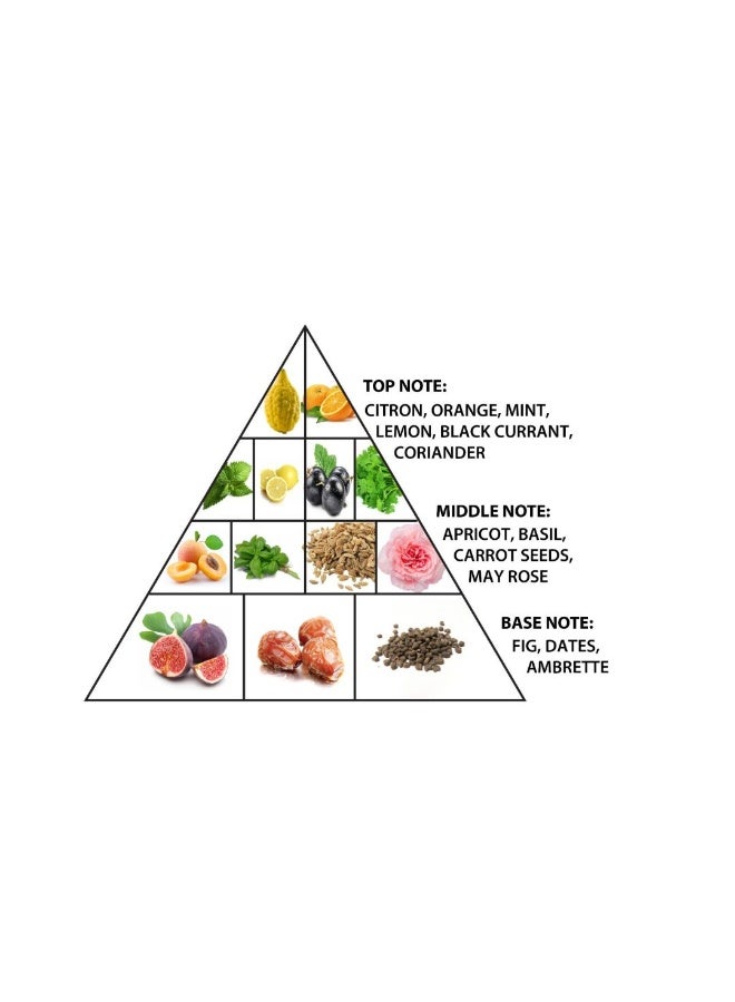 الحرمين ناتشورال فورست إكستريت دي بارفيوم 100 مل | عطر للجنسين | عطر طويل الأمد بعبق الحمضيات والأخشاب ولمسات طبيعية - Image 3