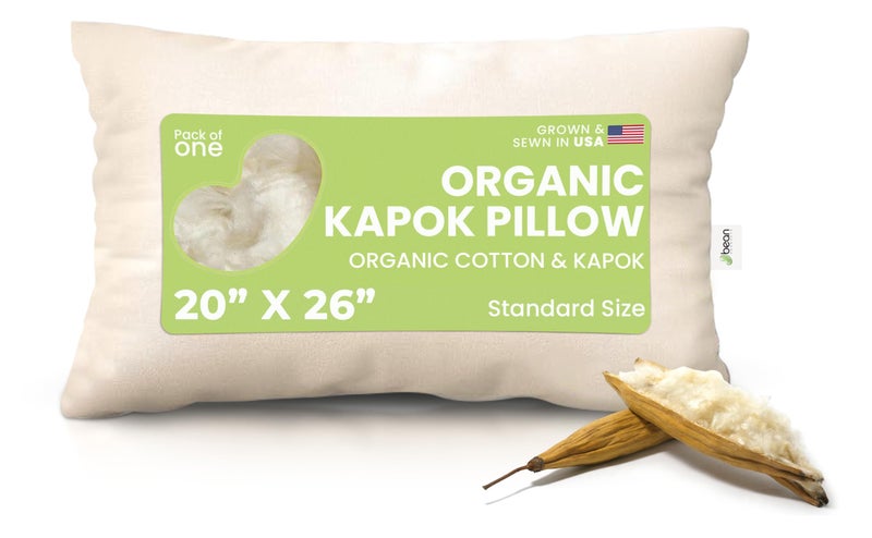 Bean Products Kapok 20 x 26 Standard Pillow  Breathable EcoFriendly and Durable Organic Cotton Fabric Bed Pillow  Soft and Supportive Pillow for Sleeping Made in The USA