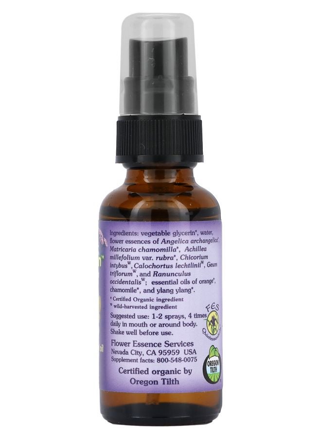 Flower Essence Services Kinder Garden Non-Alcohol Formula 1 oz (30 mL) - Image 2