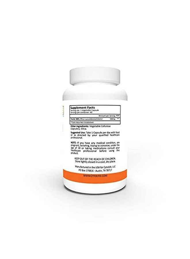 CYTOLYFE Fisetin 500mg 98% Pure Fisetin 500mg Therapeutic Dose 60 Capsules Senolytic Activator Anti-Aging Life Extension - Image 3