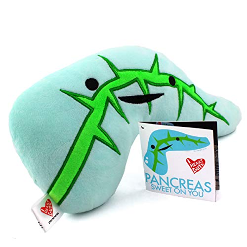I Heart Guts Pancreas Plush – Sweet on You! – 11" Funny Diabetic Gifts, Type 1, Type 2, T1D/T2D, Support, Surgery Recovery, Insulin Buddies, Get Well Present, Pancreatic Cancer, Endocrinology - Image 2