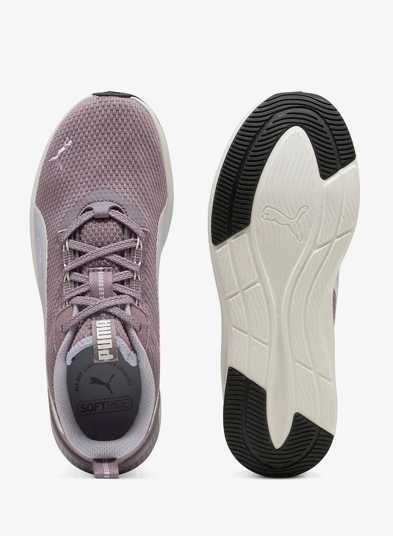 بوما سوفترايد هارلي