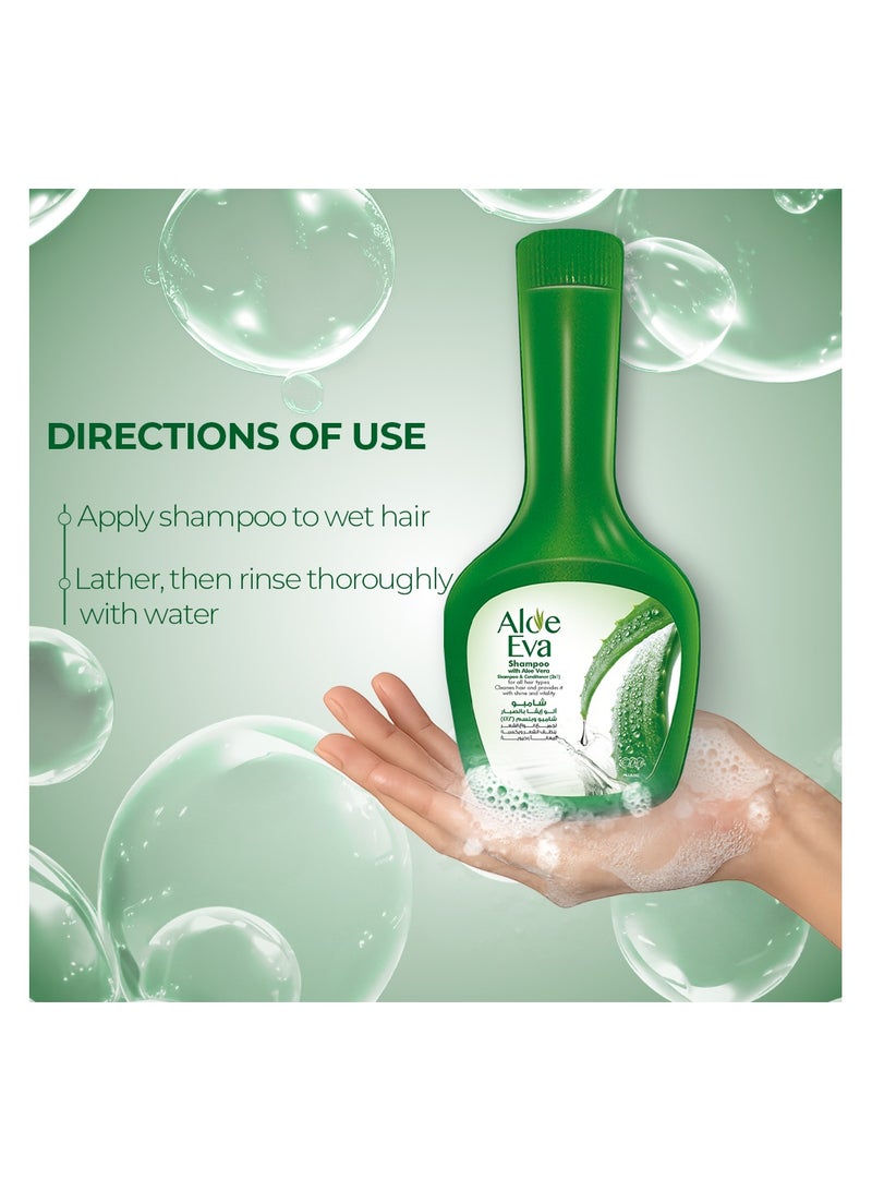 Eva شامبو الألوة مع الألوة فيرا - Image 5