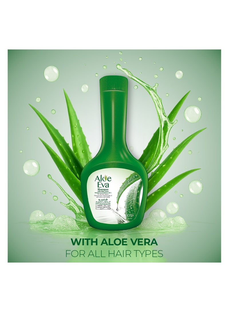 Eva شامبو الألوة مع الألوة فيرا - Image 4