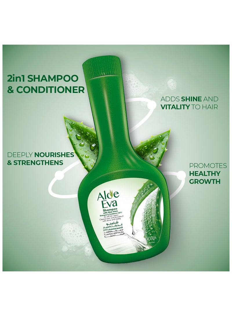 Eva شامبو الألوة مع الألوة فيرا - Image 3