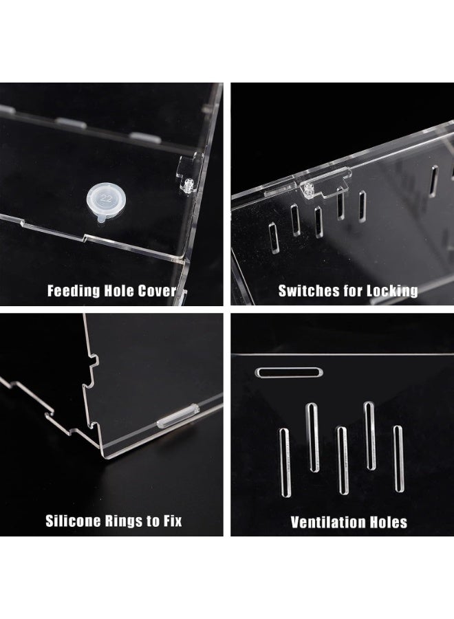 حوض زواحف، حاوية عنكبوت، 30 سم × 20 سم × 15 سم، صندوق تغذية كبير لمأوى عنكبوت الحشرات للحيوانات الصغيرة والمنزل والمكتب (الحجم: صغير) - Image 2