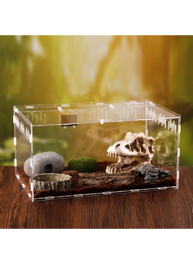 حوض زواحف، حاوية عنكبوت، 30 سم × 20 سم × 15 سم، صندوق تغذية كبير لمأوى عنكبوت الحشرات للحيوانات الصغيرة والمنزل والمكتب (الحجم: صغير) - Image 5