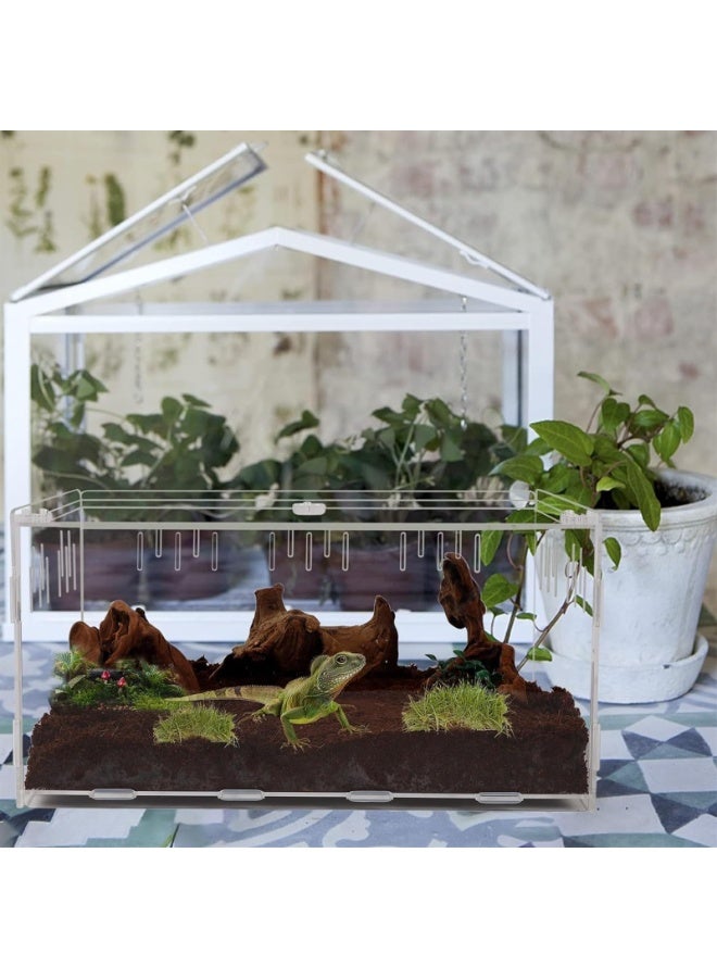 حوض زواحف، حاوية عنكبوت، 30 سم × 20 سم × 15 سم، صندوق تغذية كبير لمأوى عنكبوت الحشرات للحيوانات الصغيرة والمنزل والمكتب (الحجم: صغير) - Image 3