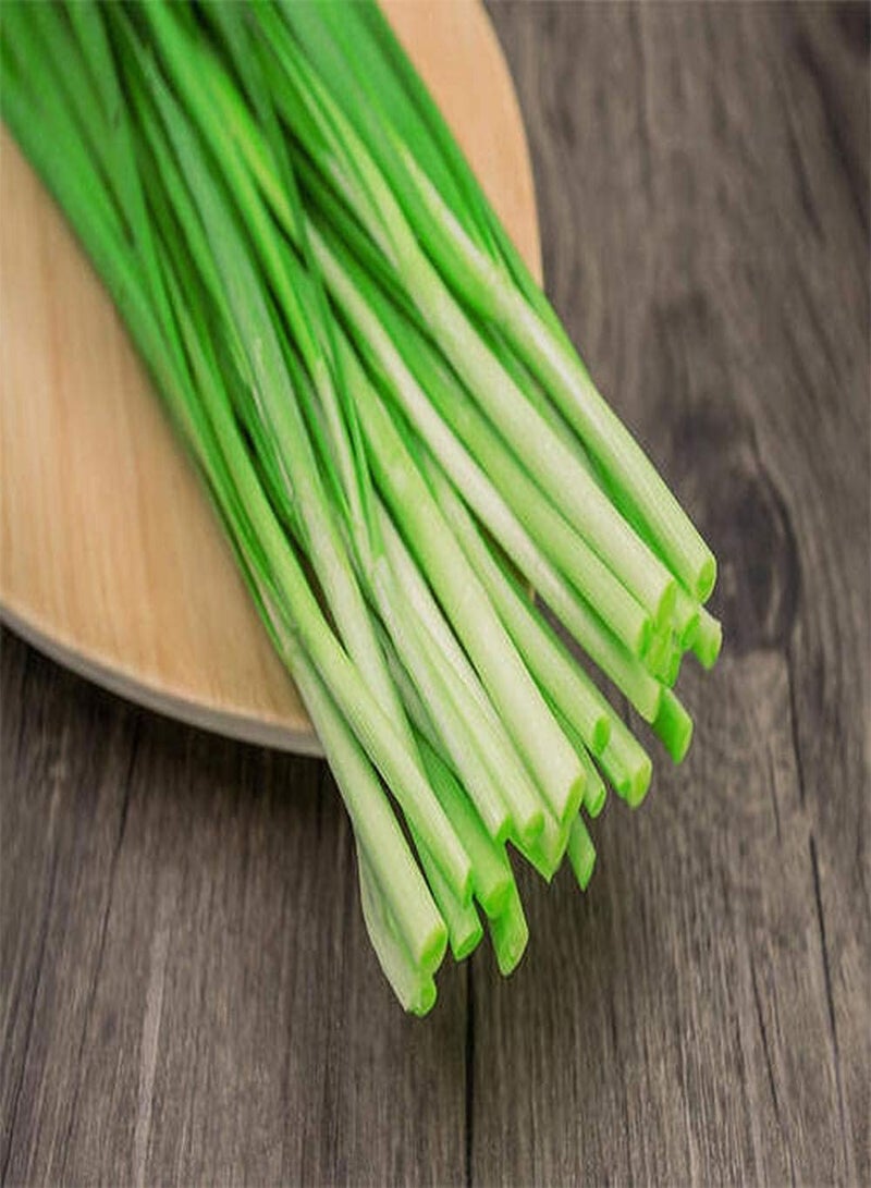 GGOOT 100Pcs Chive Leek Seeds Gardeners Favorite Vegetables Fresh Non-GMO Chive Leek Suitable for Planting in The Home Garden - Image 1