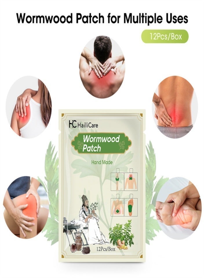 HailiCare 24-piece pack of joint and muscle patches, foot patches, shoulder and neck heat therapy patches, herbal patch combination pack for long-lasting relief of muscle and joint pain. - Image 2