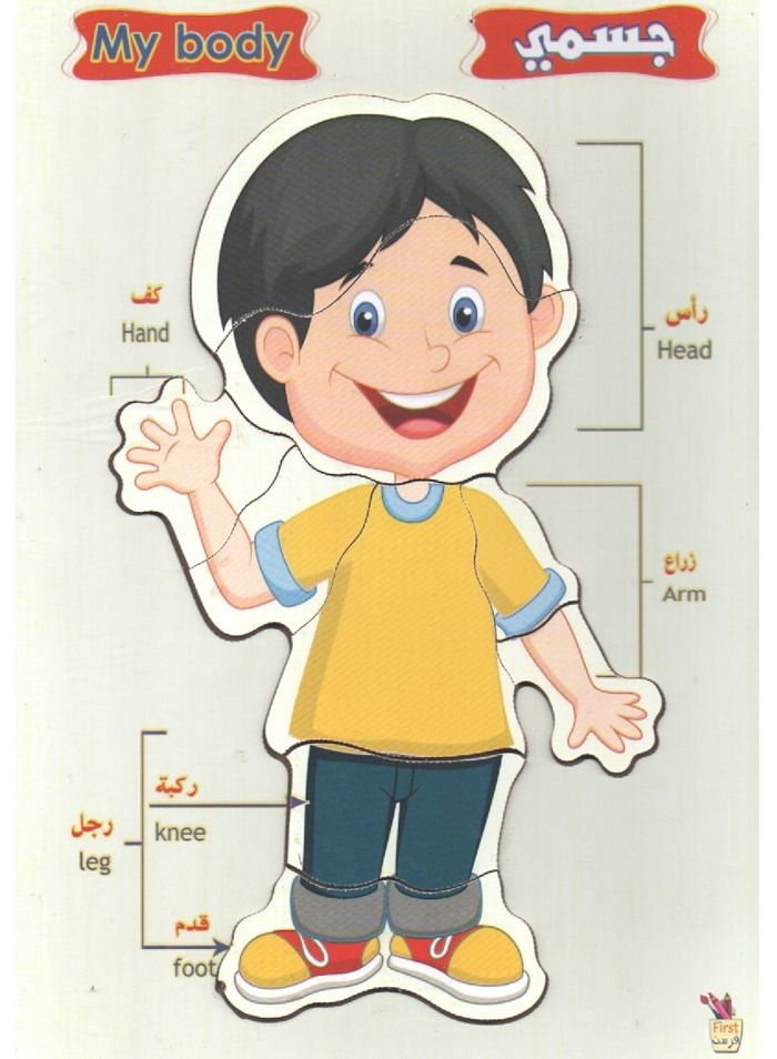 بازلز بازل خشبي اجزاء الجسم الولد ملون 9 قطع - Image 1