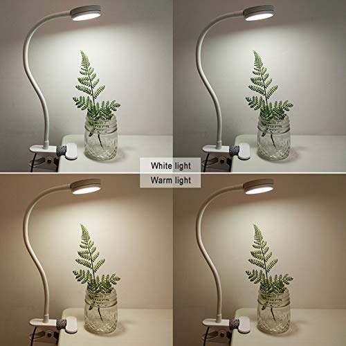 LEPOWER Clip on Light/Reading Lights/Book Light Color Changeable/Night Lights Clip on for Desk, Bed Headboard and Computers, Adapter Included (White) - Image 2
