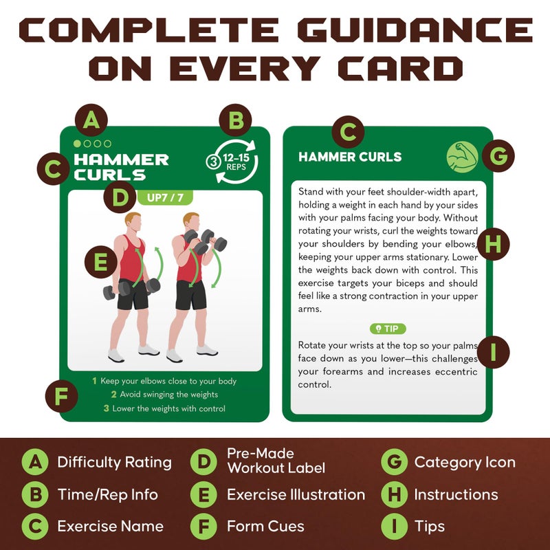 Zinsk 75 Dumbbell Workout Cards â€“ 3.5â€ x 2.5â€ Full Body Weight Training Exercise Deck â€“ At-Home Fitness Guide for Men and Women â€“ Get Stronger With 12 Pre-Made Strength Workouts - Image 4