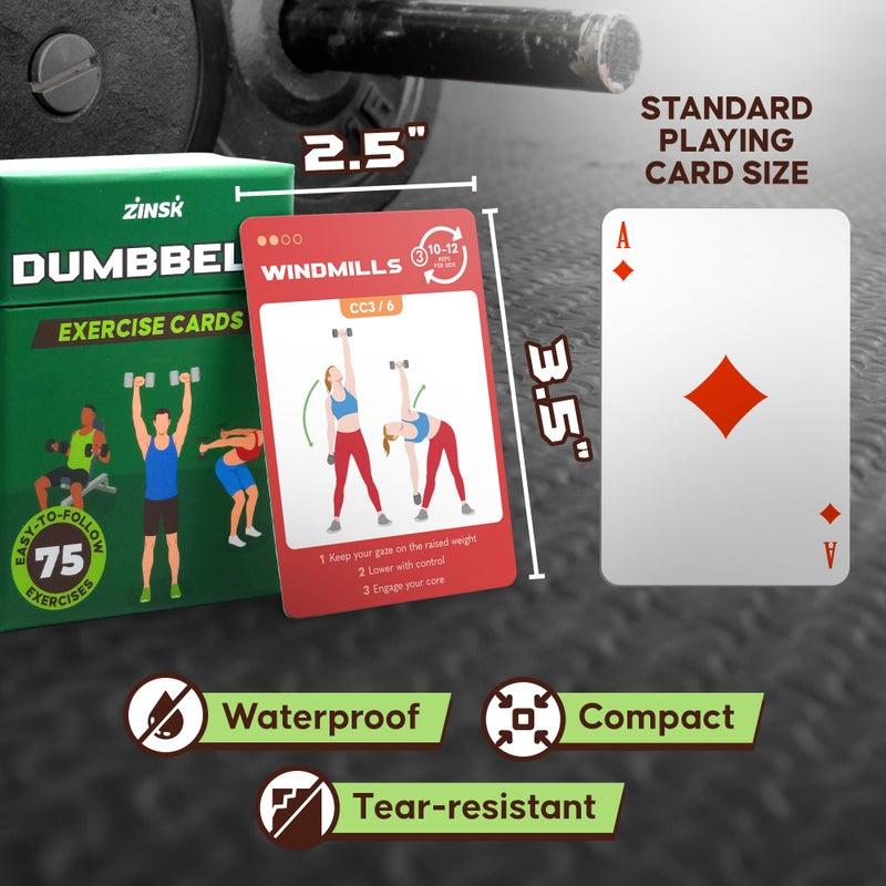 Zinsk 75 Dumbbell Workout Cards â€“ 3.5â€ x 2.5â€ Full Body Weight Training Exercise Deck â€“ At-Home Fitness Guide for Men and Women â€“ Get Stronger With 12 Pre-Made Strength Workouts - Image 3