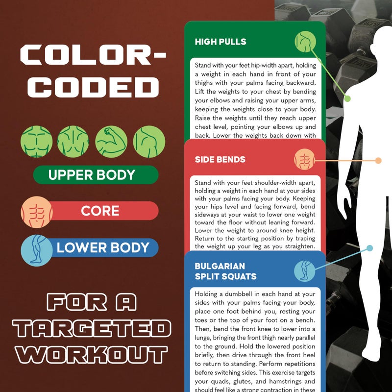 Zinsk 75 Dumbbell Workout Cards â€“ 3.5â€ x 2.5â€ Full Body Weight Training Exercise Deck â€“ At-Home Fitness Guide for Men and Women â€“ Get Stronger With 12 Pre-Made Strength Workouts - Image 5