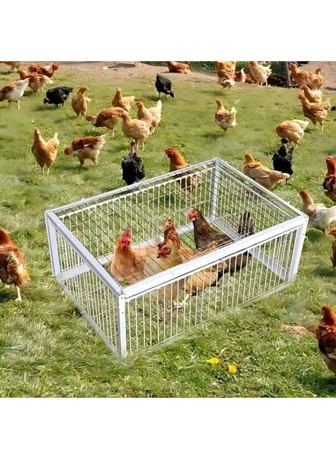 Double Door Dovecote Automatic Pigeon Trap Cage Anti Escape Design Stainless Steel - Image 4