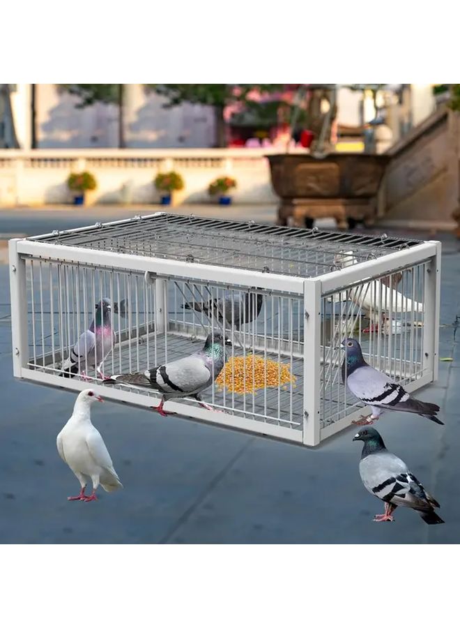 Double Door Dovecote Automatic Pigeon Trap Cage Anti Escape Design Stainless Steel - Image 2