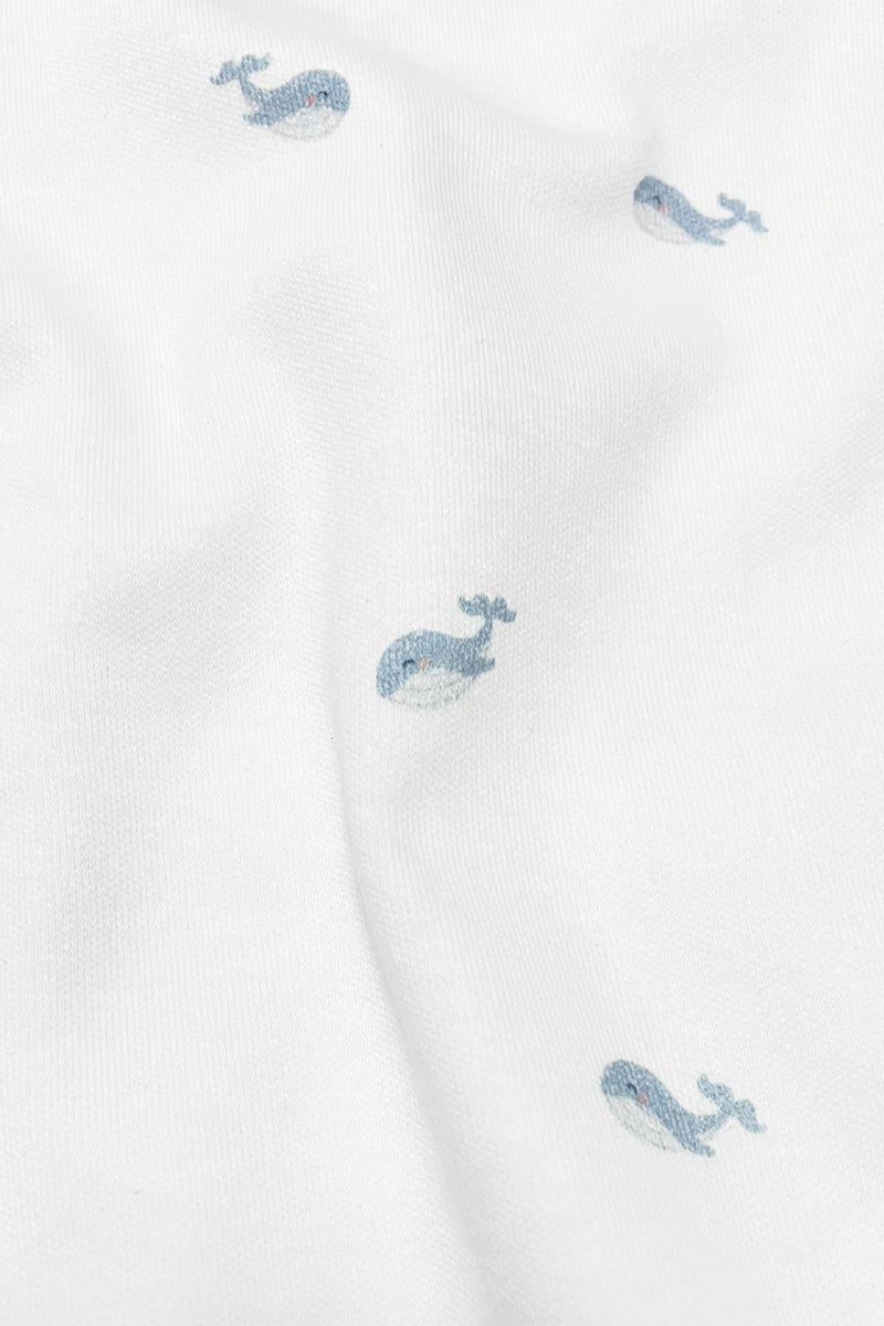 Casadora Baby Aqua Organic Cotton Baby Short Sleeve Bodysuit - Image 5