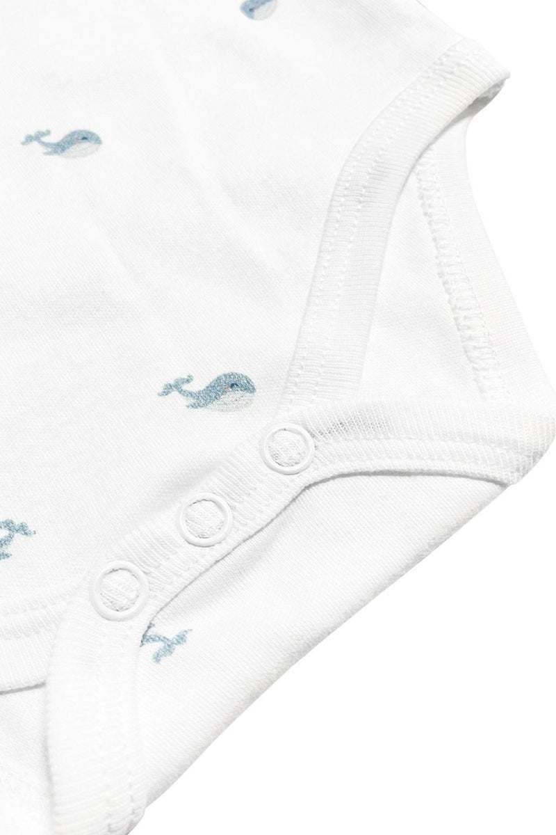 Casadora Baby Aqua Organic Cotton Baby Short Sleeve Bodysuit - Image 4
