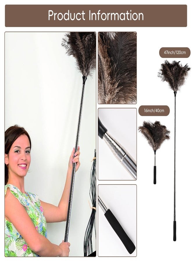 THARAHT Extendable Ostrich Feather Duster up to 16-47 inches Fluffy Feathers Long Handle Reusable for Cleaning Ceiling Fan Pendant lamp High Ceiling Blinds Furniture Feather Duster - Image 2
