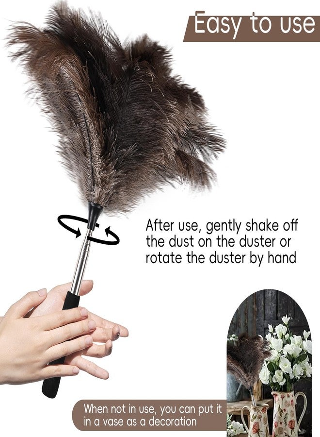THARAHT Extendable Ostrich Feather Duster up to 16-47 inches Fluffy Feathers Long Handle Reusable for Cleaning Ceiling Fan Pendant lamp High Ceiling Blinds Furniture Feather Duster - Image 5