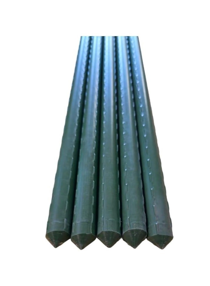 ماركة غير محددة عصا نباتية معدنية مغطاة بـ PVC – ارتفاع 150 سم، سمك 16 مم، دعامة حديقة طويلة جدًا للنباتات والكروم والخضروات، عبوة من 5، حدائق منزلية، مشاتل، مزارع، شرفات، فناءات  - Image 2