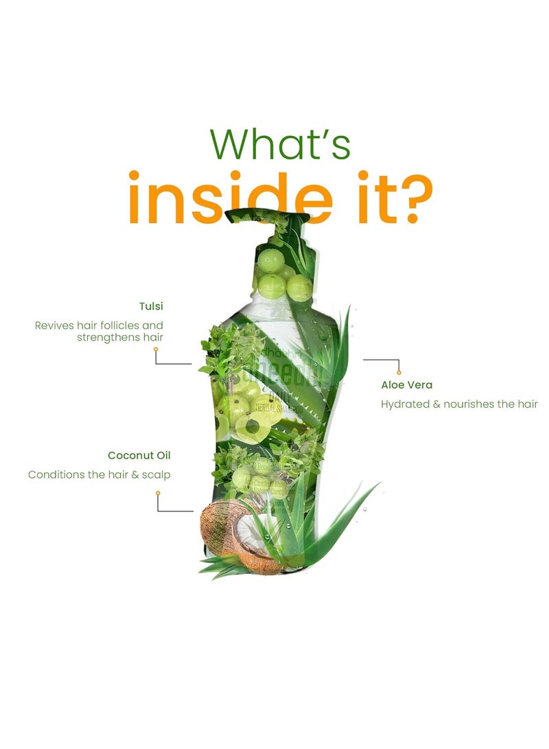 Dhathri Dheedhi Daily Herbal Shampoo for daily use, shampoo for dry and frizzy hair that makes hair healthy & strong, mild shampoo for daily use (250ml) - Image 5