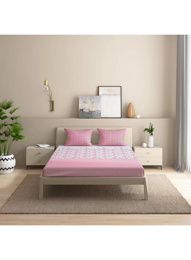 ويكفيت ملاءة سرير Wakefit لمقاس كوين، ملاءة سرير قطنية مقاس كوين، ملاءات سرير ملائمة من القطن مقاس كوين، 144 خيطًا 100% قطن مع غطائي وسادة (ملاءة ملائمة مرنة 78×60: فلورينزا) - Image 4