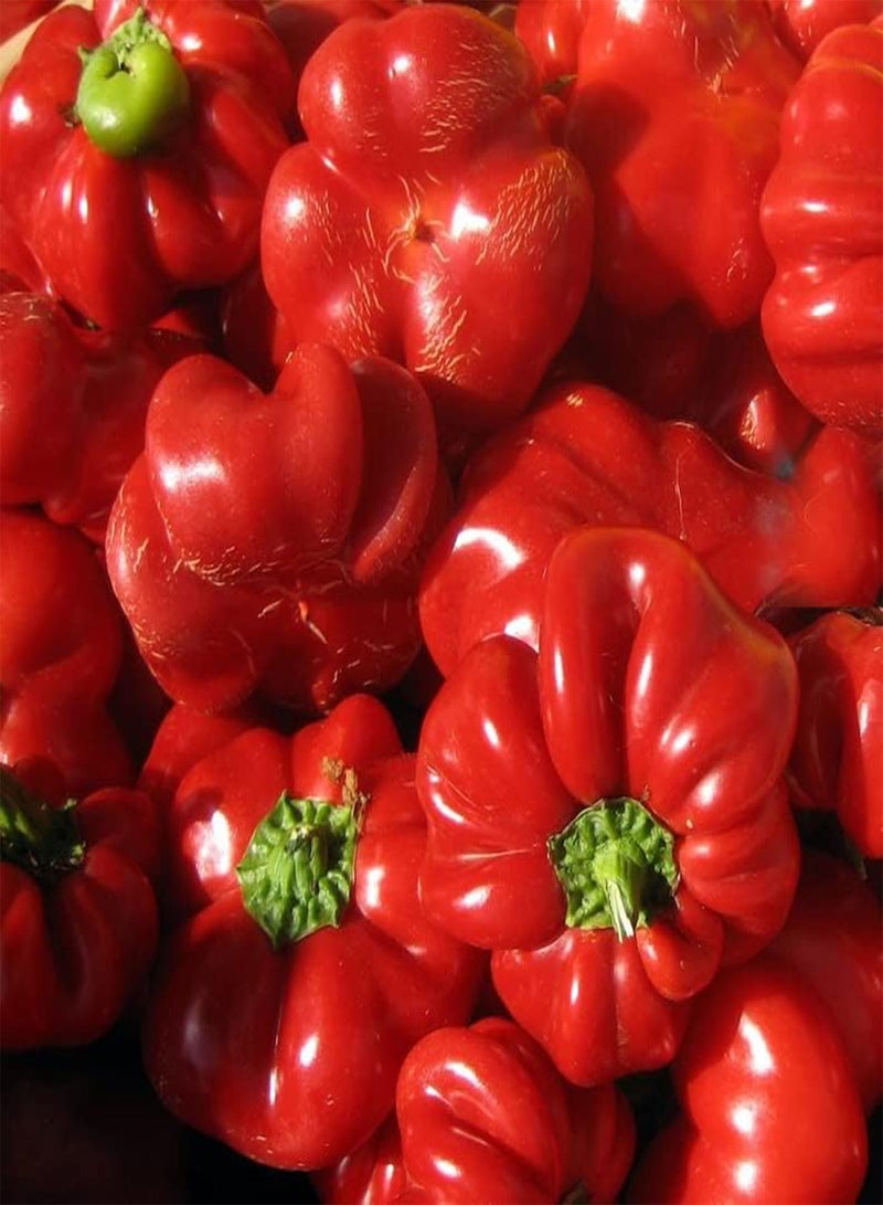 30 Pimento Sweetheart Pepper Seeds, Heart Shaped Heirloom Pepper Seeds, Sweet and Juicy Pepper,Capsicum Annuum