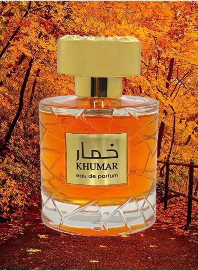 Wadi Al Khaleej Khumar Wadi Al Khaleej EDP 100ML  - Image 1