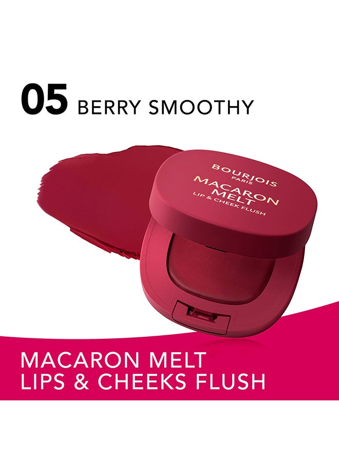 BOURJOIS PARIS Macaron Melt Lip And Cheek Flush  - 5 - Berry Smoothy, 8g - Image 3