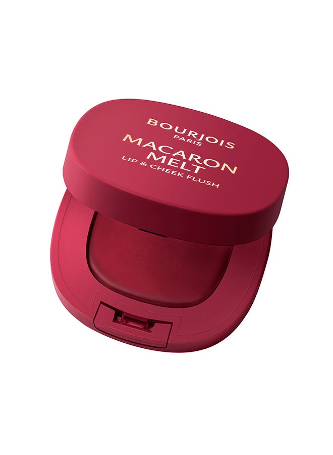 BOURJOIS PARIS Macaron Melt Lip And Cheek Flush  - 5 - Berry Smoothy, 8g - Image 1