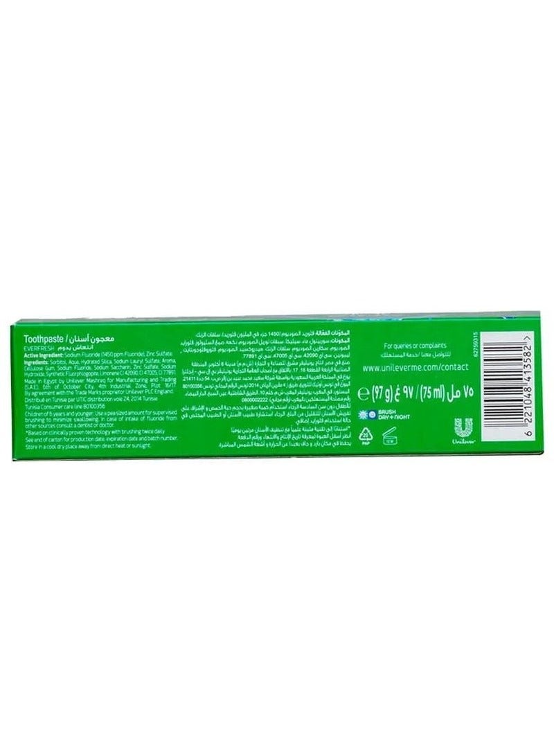 كلوز أب كلوس اب ايفر فريش معجون أسنان انتعاش النعناع - 75 مل  - Image 5