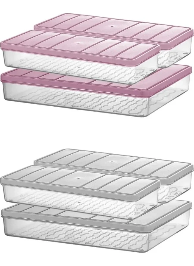 Bizimevde 2 Li Large Storage Container (2.5 Lt)