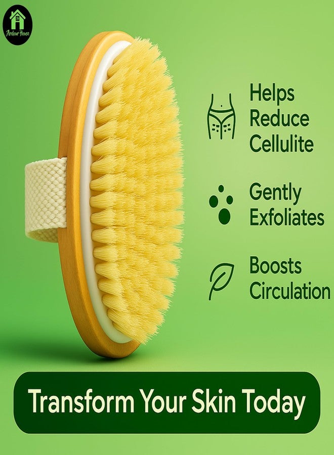 Ardour House Premium Dry Body Brush | Natural Boar Bristles & Polished Wooden Handle | Exfoliates, Improves Circulation, Lymphatic Drainage & Cellulite Appearance | Oval Exfoliating Bath Brush - Image 2