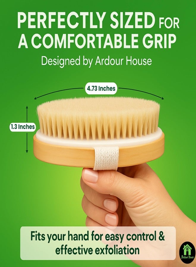 Ardour House Premium Dry Body Brush | Natural Boar Bristles & Polished Wooden Handle | Exfoliates, Improves Circulation, Lymphatic Drainage & Cellulite Appearance | Oval Exfoliating Bath Brush - Image 5
