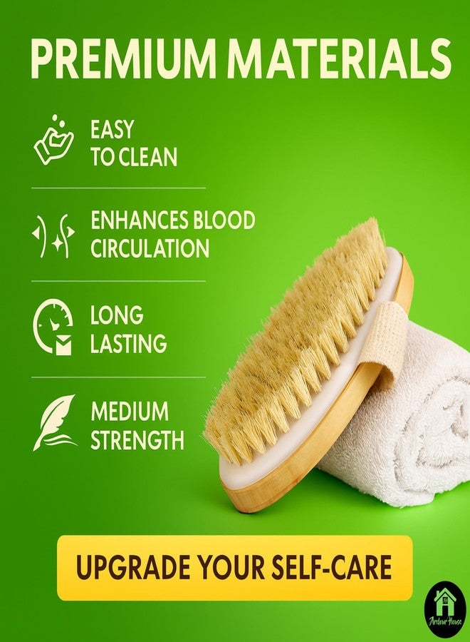 Ardour House Premium Dry Body Brush | Natural Boar Bristles & Polished Wooden Handle | Exfoliates, Improves Circulation, Lymphatic Drainage & Cellulite Appearance | Oval Exfoliating Bath Brush - Image 4