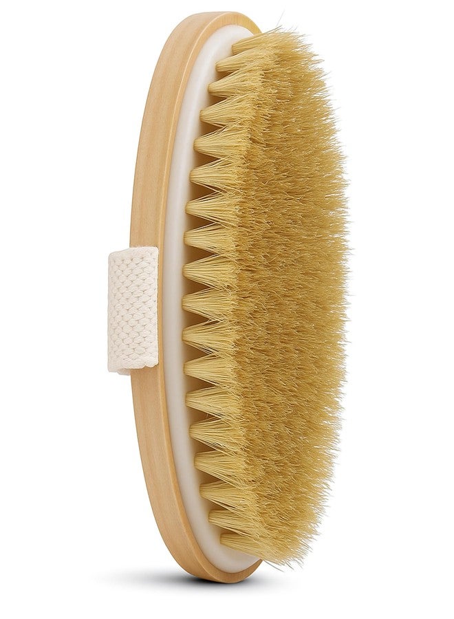 Ardour House Premium Dry Body Brush | Natural Boar Bristles & Polished Wooden Handle | Exfoliates, Improves Circulation, Lymphatic Drainage & Cellulite Appearance | Oval Exfoliating Bath Brush - Image 1