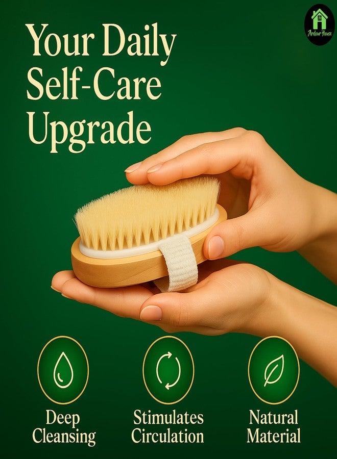 Ardour House Premium Dry Body Brush | Natural Boar Bristles & Polished Wooden Handle | Exfoliates, Improves Circulation, Lymphatic Drainage & Cellulite Appearance | Oval Exfoliating Bath Brush - Image 3