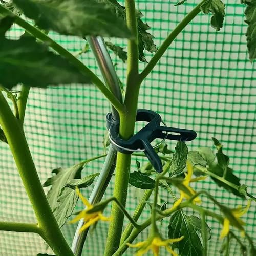 iit 20 قطعة مشابك نباتية وزهرية لطيفة لدعم السيقان - Image 4