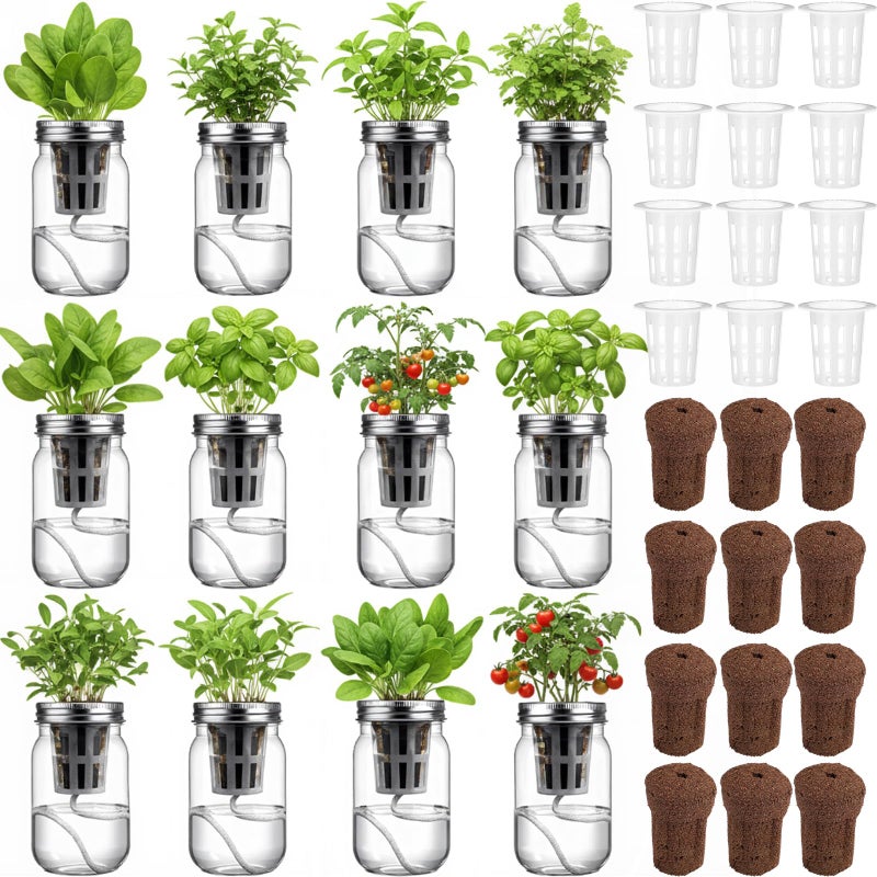 Teenyyou 12 Set Hydroponic Herb Garden Planter Indoor Kit, Include 12 Self Watering Mason Jars 12 Planting Baskets 12 Pre Sown Growth Plugs and 12 Absorbent Cores Herb Growing Kit for Gardening - Image 1