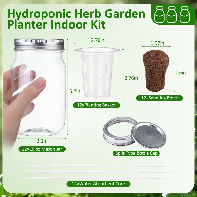 Teenyyou 12 Set Hydroponic Herb Garden Planter Indoor Kit, Include 12 Self Watering Mason Jars 12 Planting Baskets 12 Pre Sown Growth Plugs and 12 Absorbent Cores Herb Growing Kit for Gardening - Image 2
