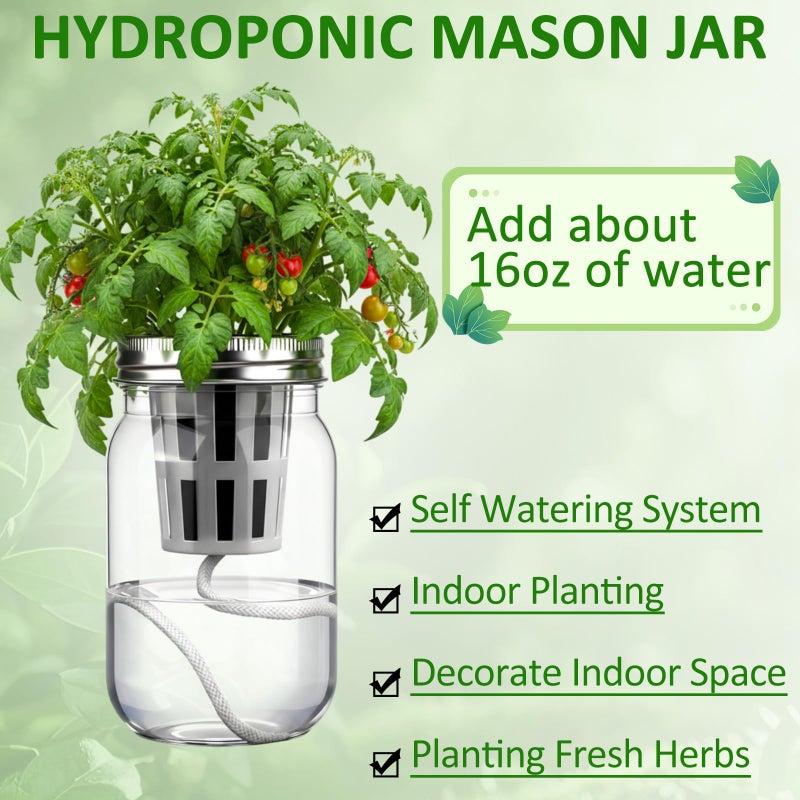 Teenyyou 12 Set Hydroponic Herb Garden Planter Indoor Kit, Include 12 Self Watering Mason Jars 12 Planting Baskets 12 Pre Sown Growth Plugs and 12 Absorbent Cores Herb Growing Kit for Gardening - Image 3