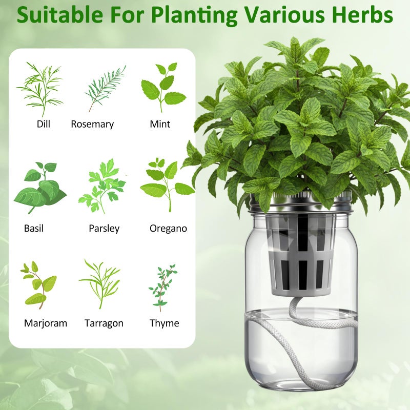 Teenyyou 12 Set Hydroponic Herb Garden Planter Indoor Kit, Include 12 Self Watering Mason Jars 12 Planting Baskets 12 Pre Sown Growth Plugs and 12 Absorbent Cores Herb Growing Kit for Gardening - Image 4